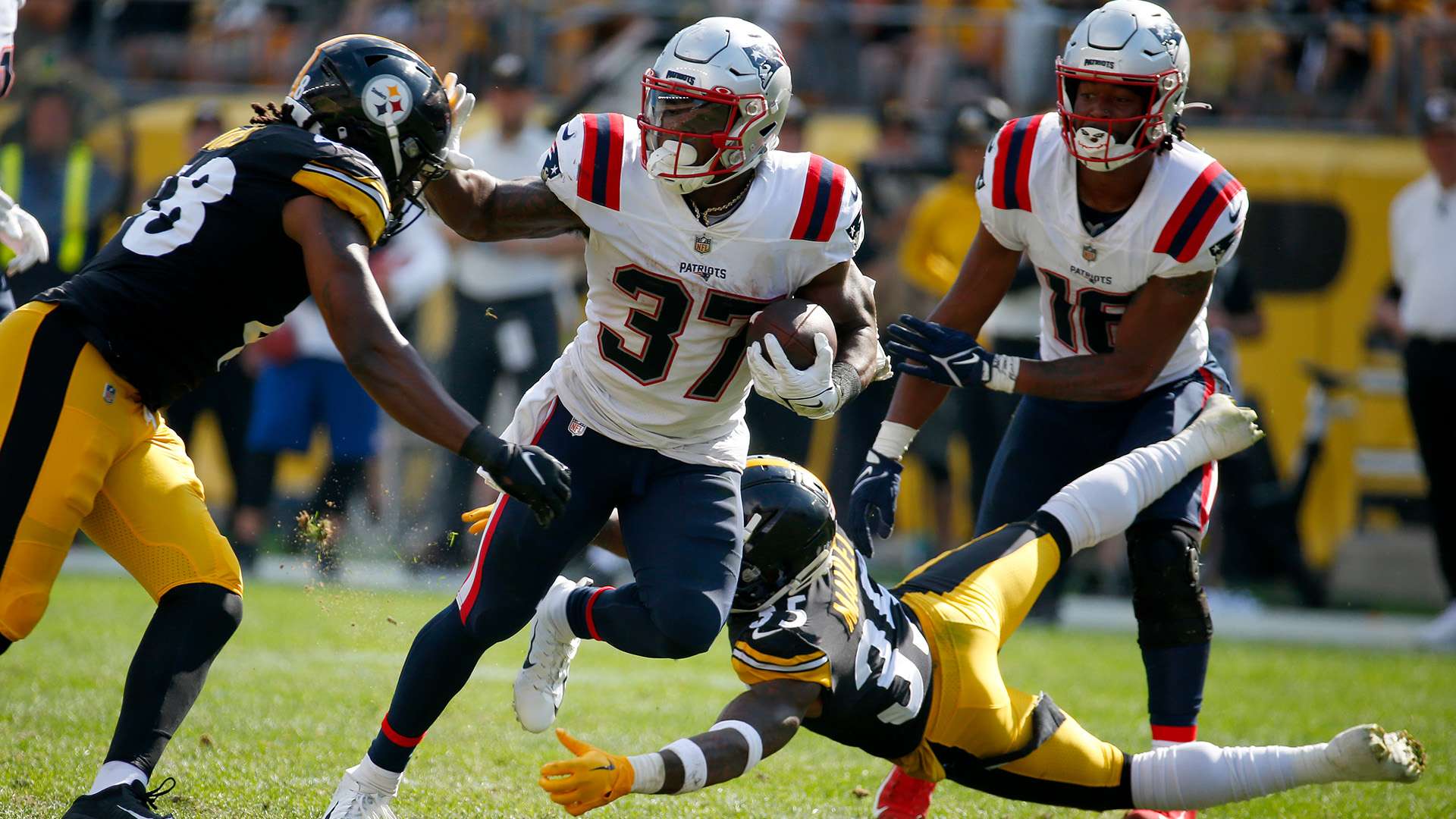 也受益匪浅 也受益匪浅